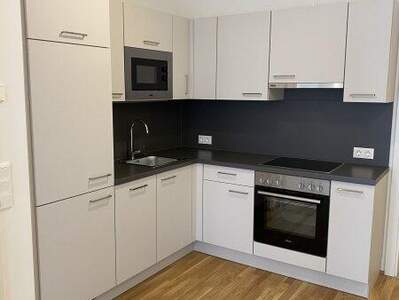 Terrassenwohnung mieten in 1220 Wien (Bild 5)
