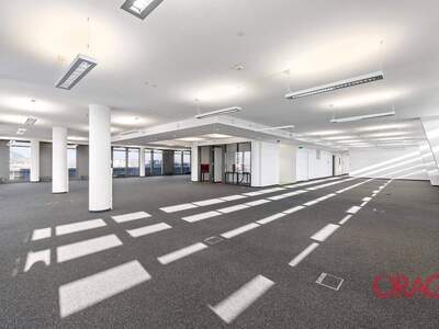 Gewerbeobjekt mieten in 1200 Wien