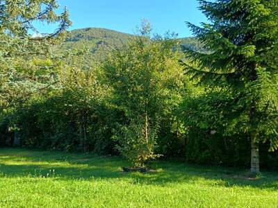 Grundstück kaufen in 2571 Altenmarkt