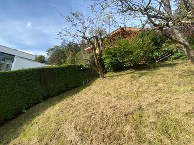 Haus kaufen in 6135 Stans (Bild 5)