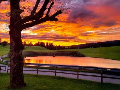 Grundstück kaufen in 6900 Möggers