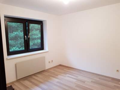 Wohnung mieten in 2733 Grünbach (Bild 4)