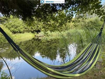 Grundstück kaufen in 3524 Kleinhaslau