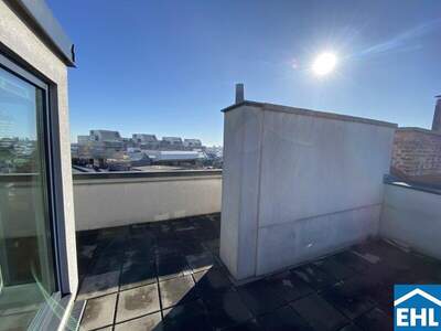 Terrassenwohnung mieten in 1190 Wien (Bild 4)