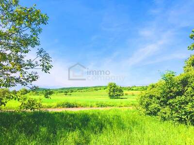 Grundstück kaufen in 7091 Breitenbrunn