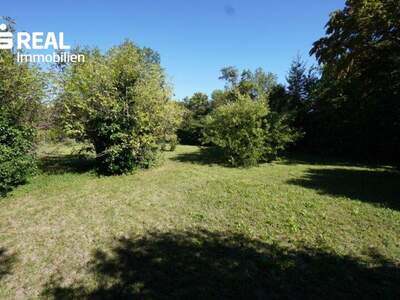 Grundstück kaufen in 2380 Perchtoldsdorf (Bild 2)