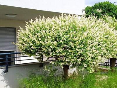 Wohnung kaufen in 8054 Graz