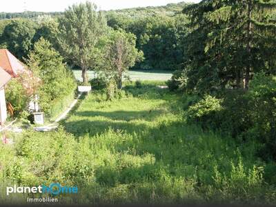 Grundstück kaufen in 2102 Hagenbrunn (Bild 2)