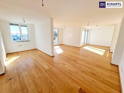 Terrassenwohnung kaufen in 1230 Wien (Bild 1)