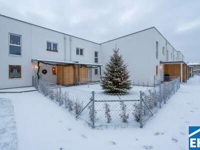 Haus mieten in 2700 Wiener Neustadt