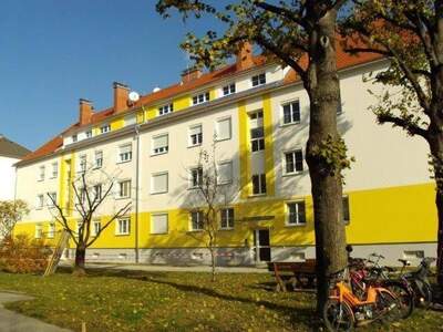 Wohnung mieten in 8160 Weiz