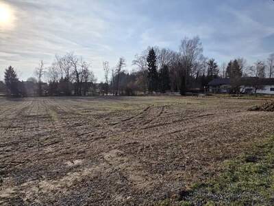 Grundstück kaufen in 8483 Deutsch Goritz