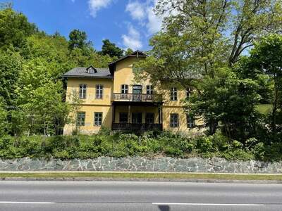 Haus kaufen in 2650 Payerbach