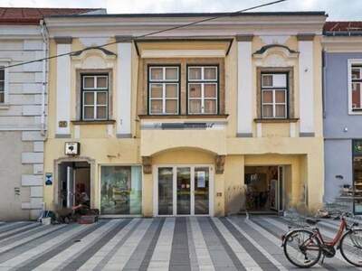 Gewerbeobjekt kaufen in 2700 Wiener Neustadt