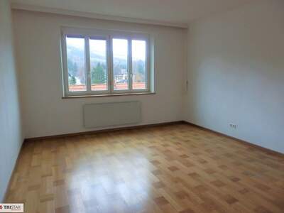 Wohnung mit Balkon kaufen in 2651 Reichenau (Bild 3)