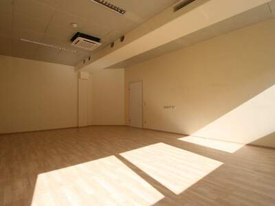 Gewerbeobjekt mieten in 5300 Hallwang (Bild 3)