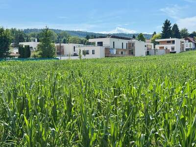 Wohnung kaufen in 8054 Graz (Bild 2)