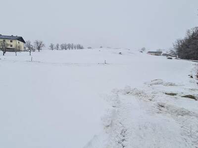 Grundstück kaufen in 3353 Seitenstetten (Bild 2)