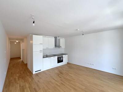 Terrassenwohnung mieten in 1110 Wien (Bild 3)