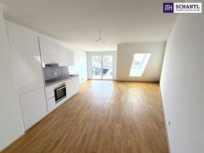 Terrassenwohnung kaufen in 1220 Wien (Bild 3)