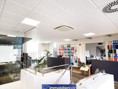 Gewerbeobjekt kaufen in 4614 Marchtrenk (Bild 5)