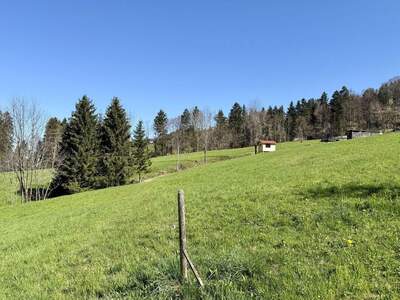 Gewerbeobjekt kaufen in 6850 Dornbirn (Bild 5)