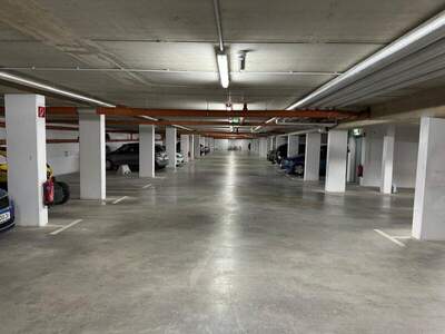 Halle / Lager / Produktion mieten in 2500 Baden (Bild 5)