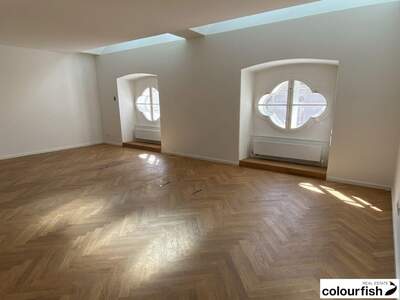 Gewerbeobjekt mieten in 1010 Wien (Bild 5)