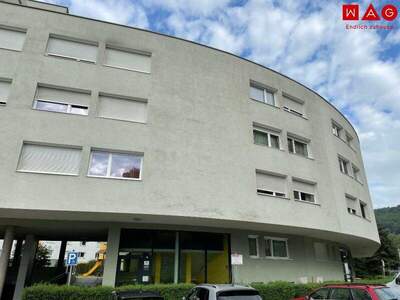 Terrassenwohnung mieten in 4221 Steyregg (Bild 3)