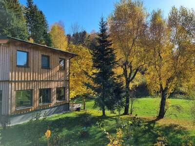 Einfamilienhaus kaufen in 3971 St. Martin (Bild 4)