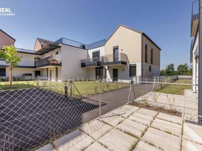 Wohnung mieten in 2020 Hollabrunn