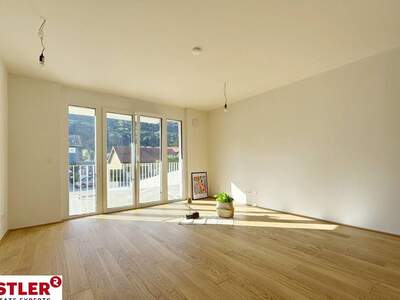 Wohnung mit Balkon kaufen in 2371 Hinterbrühl (Bild 3)