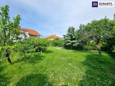 Einfamilienhaus kaufen in 7051 Großhöflein (Bild 1)