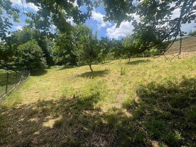 Grundstück provisionsfrei kaufen in 9220 Velden