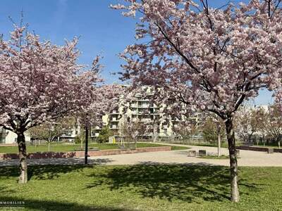 Mietwohnung in 1220 Wien