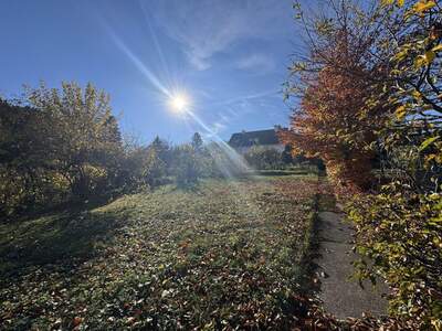 Grundstück kaufen in 3400 Klosterneuburg (Bild 1)