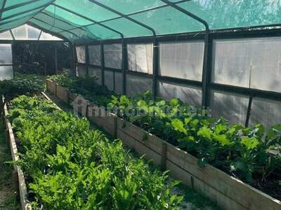 Haus kaufen in 6081 Assisi (Bild 3)