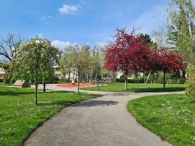 Wohnung provisionsfrei mieten in 1130 Wien