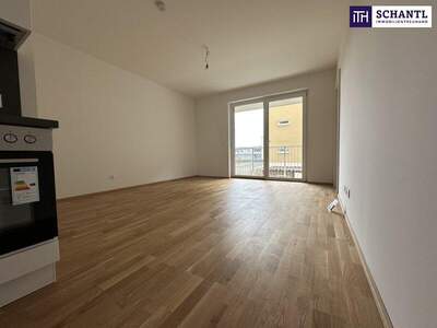 Terrassenwohnung mieten in 8401 Kalsdorf (Bild 5)