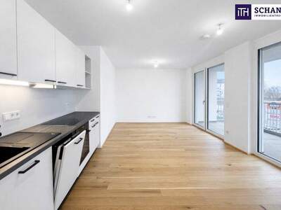Terrassenwohnung mieten in 1120 Wien (Bild 1)