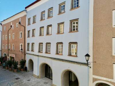 Gewerbeobjekt mieten in 5400 Hallein (Bild 4)