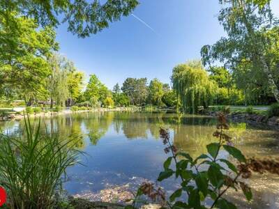 Mietwohnung in 2320 Schwechat (Bild 4)