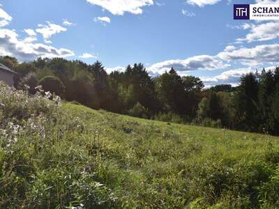 Grundstück kaufen in 8301 Laßnitzhöhe (Bild 2)