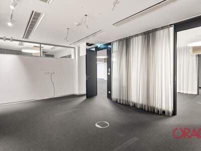 Gewerbeobjekt mieten in 1010 Wien (Bild 5)