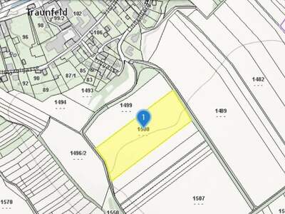 Gewerbeobjekt kaufen in 2123 Traunfeld