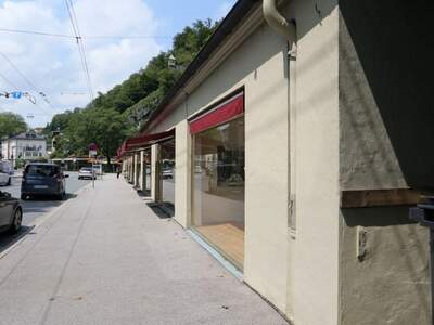 Gewerbeobjekt mieten in 5020 Salzburg (Bild 3)