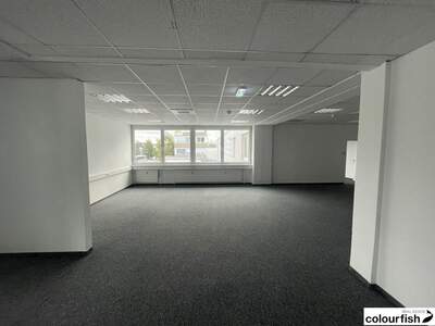 Gewerbeobjekt mieten in 1230 Wien (Bild 2)