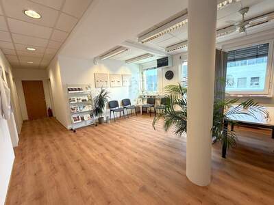 Gewerbeobjekt mieten in 8042 Graz (Bild 3)