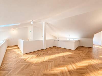 Gewerbeobjekt mieten in 1010 Wien (Bild 4)
