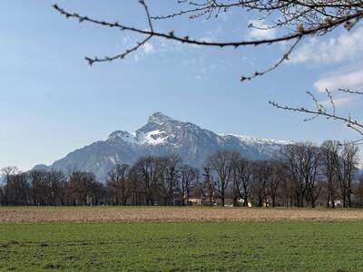 Grundstück kaufen in 5020 Salzburg